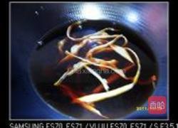 素烧鹅的做法图解2