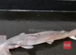 蒜烧小鲨鱼的做法图解1