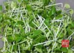香酥香椿的做法图解1