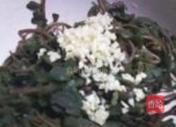 凉拌马齿苋的做法图解3