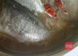 干锅黑鱼的做法图解11