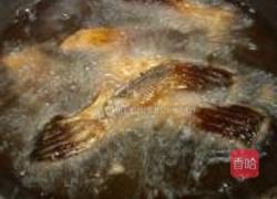 酒酿红烧鱼块的做法图解7