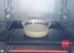 鸡蛋牛奶布丁的做法图解7