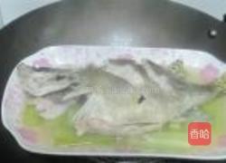 清蒸桂鱼的做法图解7