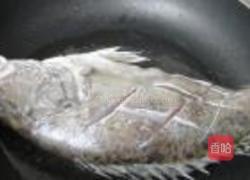 红烧臭鳜鱼的做法图解5