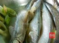 干炸金枪鱼的做法图解1