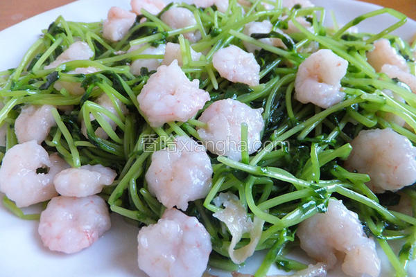 豌豆苗虾仁