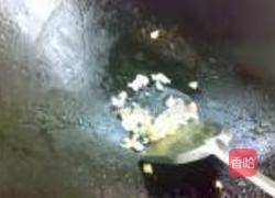 简易陈醋黄瓜的做法图解3