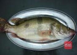 红烧桂鱼的做法图解1