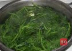 油渣清炒雪里红的做法图解2