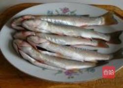 红烧梭鱼的做法图解1