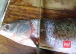 麻辣水煮鱼的做法图解3