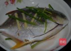 清蒸金鲳鱼的做法图解2