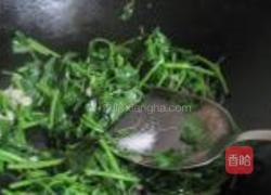 蒜泥苋菜的做法图解5