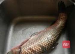 油爆青鱼片的做法图解1