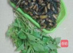 金不换炒薄壳的做法图解1