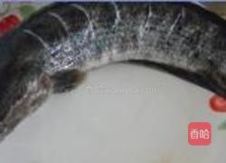 清蒸生鱼的做法图解2