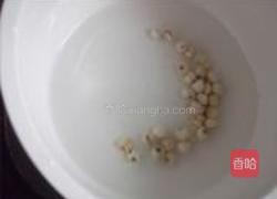 雪梨川贝炖冰糖的做法图解6