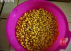 自制黄豆芽的做法图解2