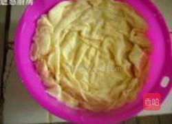 自制黄豆芽的做法图解3