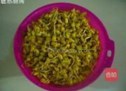 自制黄豆芽的做法图解5