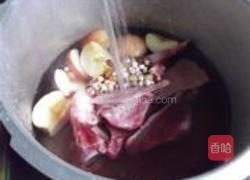 南北杏川贝苹果汤的做法图解3