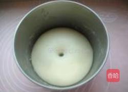 无油小面包的做法图解5