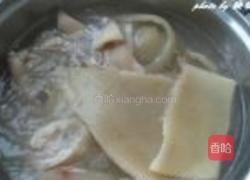 彩色猪皮冻的做法图解3