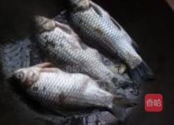 苏子叶泡菜烧鲫鱼的做法图解5