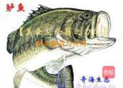 香葱香菇烤鲈鱼的做法图解13