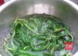 蒲公英拌粉丝的做法图解4