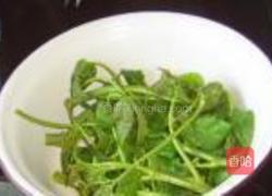 盐渍香椿的做法图解8