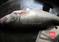 特色蒸鲈鱼的做法图解4