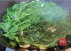 清炒豆苗的做法图解4