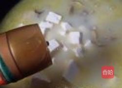 笋尖河蚌煲豆腐的做法图解9