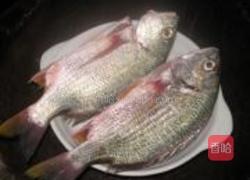 清蒸黄鳍鲷鱼的做法图解1
