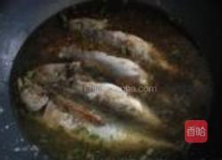 青鱼白菜豆腐锅的做法图解8