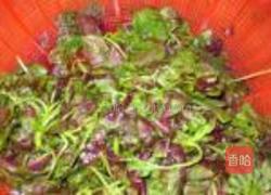 蒜炒红苋菜的做法图解1
