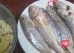 香煎黄花鱼的做法图解1