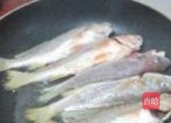 香煎黄花鱼的做法图解3