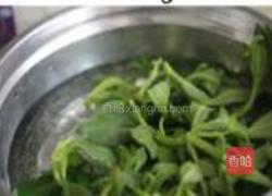 姜末穿心莲的做法图解1