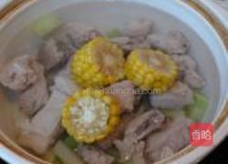 玉米萝卜炖排骨的做法图解4