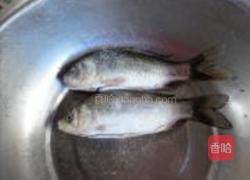 竽头鱼汤的做法图解2