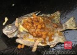 豆瓣酱焖金鼓鱼的做法图解4