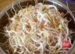 绿豆芽韭菜炒木耳的做法图解2