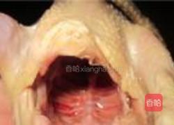 卤水乳鸽的做法图解5