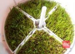 苹果柠檬小麦草汁的做法图解3