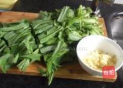蒜蓉炒苦麦菜的做法图解2
