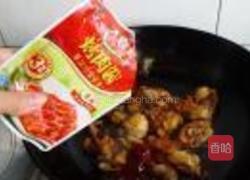 烤肉酱烧鸡腿的做法图解9