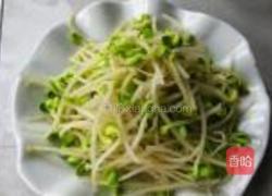 拌豆芽儿的做法图解3